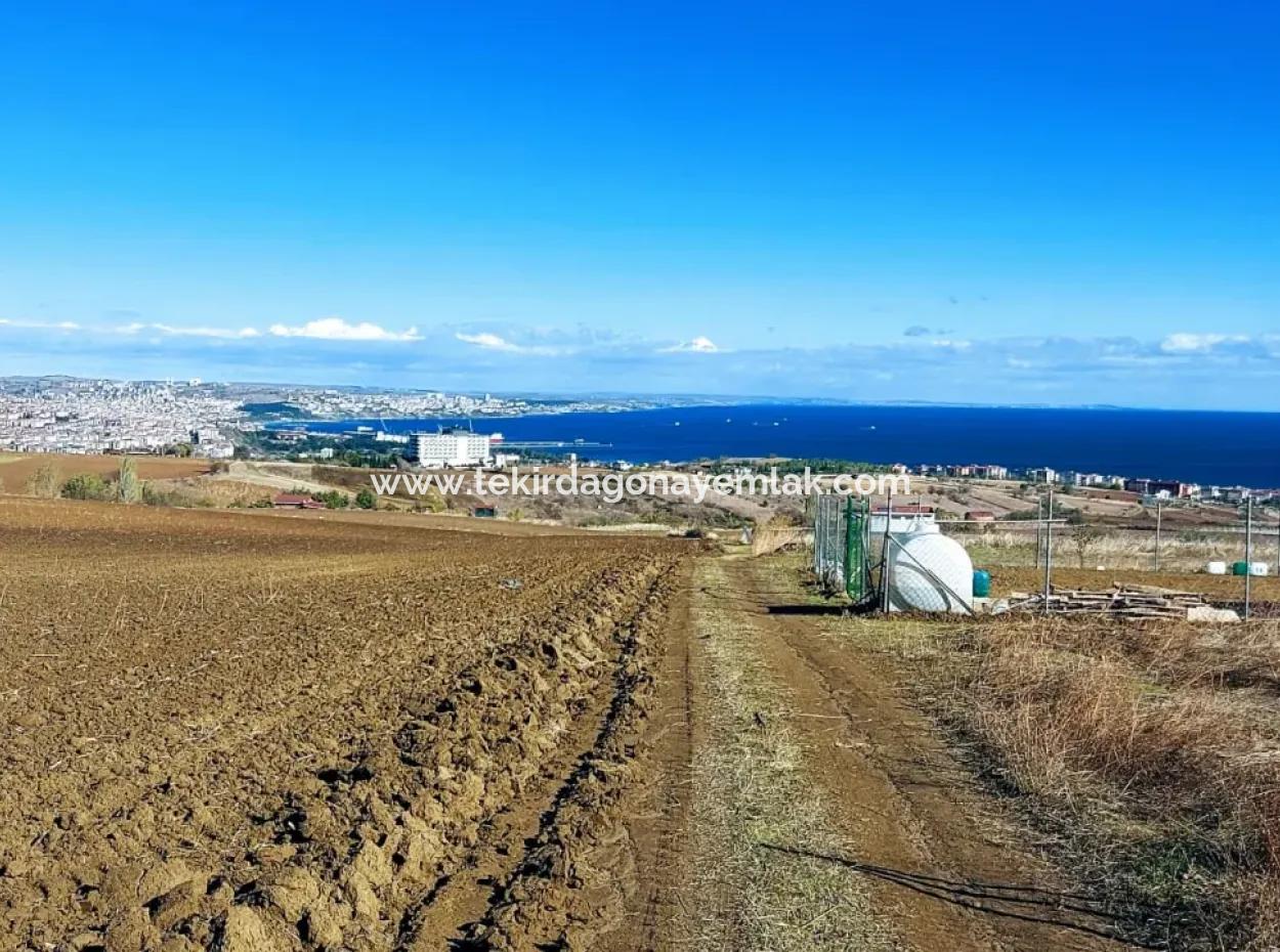 Bewerben Sie Sich Für Ein Luxusvillen-Projekt Zum Dringenden Verkauf, Bieten Sie Eine Hohe Lage In Kaznç, Einen Herrlichen, Vollständig Vollen Blick Auf Das Meer Und Die Natur