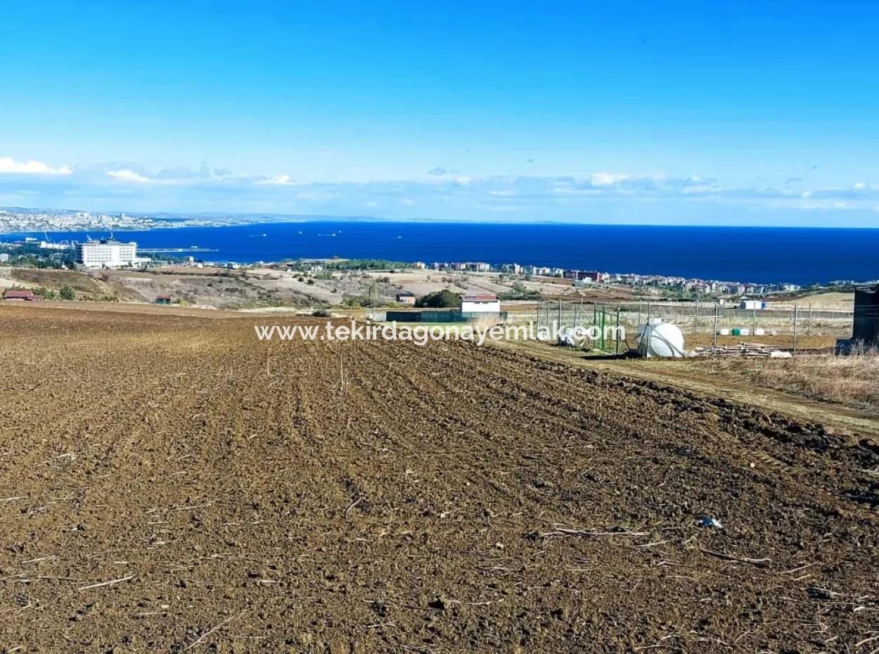 Bewerben Sie Sich Für Ein Luxusvillen-Projekt Zum Dringenden Verkauf, Bieten Sie Eine Hohe Lage In Kaznç, Einen Herrlichen, Vollständig Vollen Blick Auf Das Meer Und Die Natur