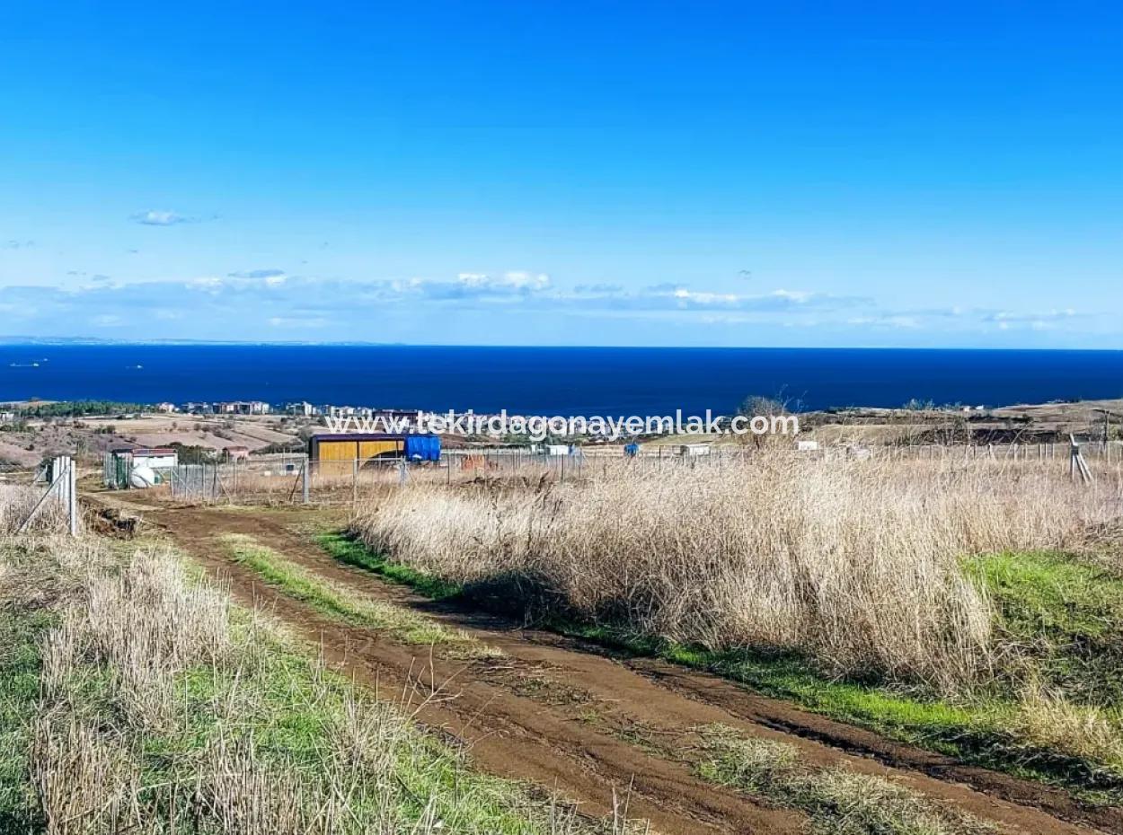 Bewerben Sie Sich Für Ein Luxusvillen-Projekt Zum Dringenden Verkauf, Bieten Sie Eine Hohe Lage In Kaznç, Einen Herrlichen, Vollständig Vollen Blick Auf Das Meer Und Die Natur