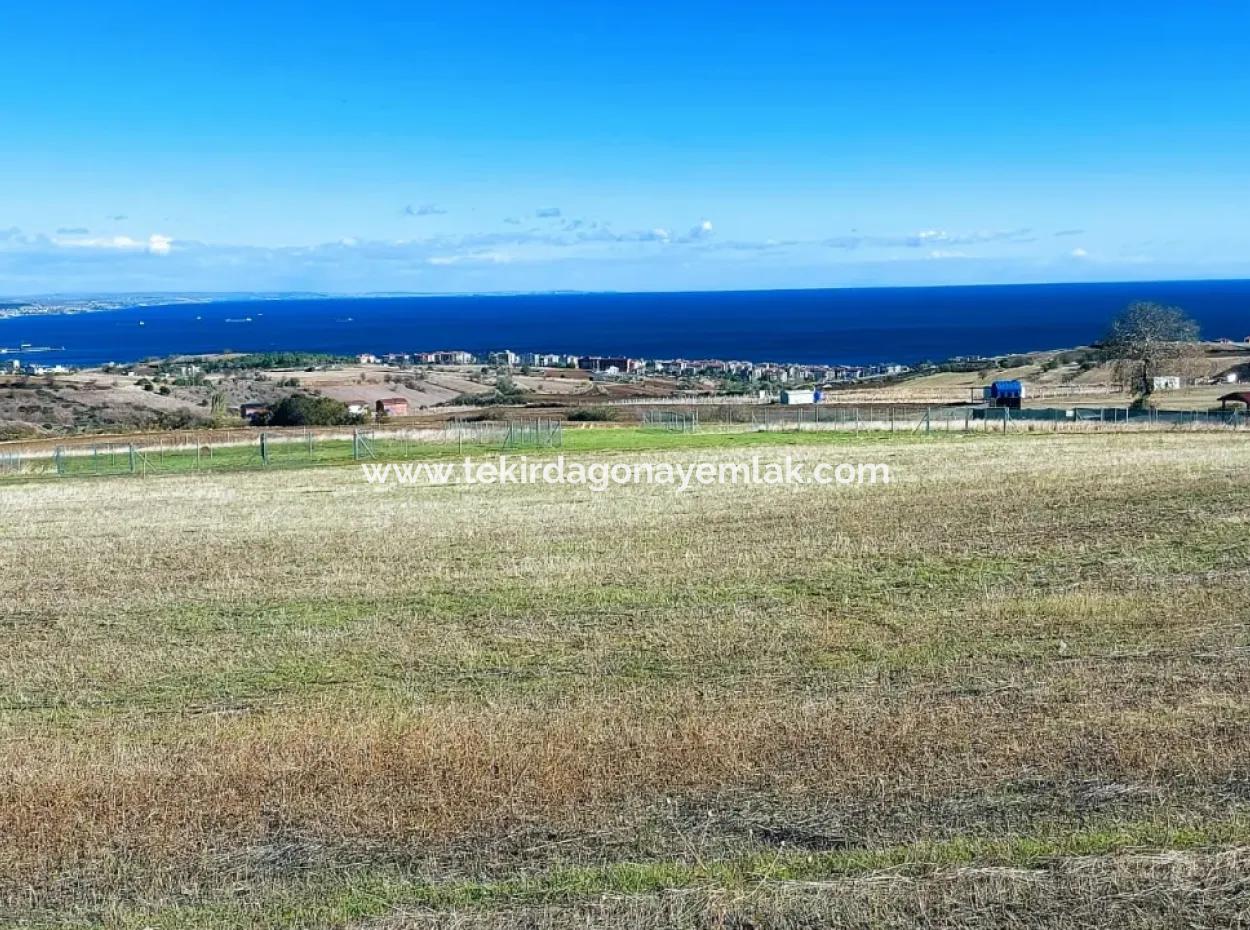 Bewerben Sie Sich Für Ein Luxusvillen-Projekt Zum Dringenden Verkauf, Bieten Sie Eine Hohe Lage In Kaznç, Einen Herrlichen, Vollständig Vollen Blick Auf Das Meer Und Die Natur