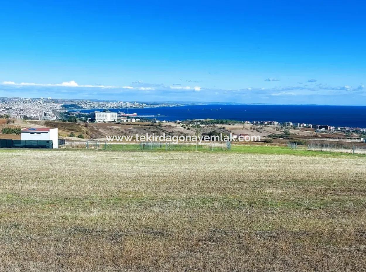 Bewerben Sie Sich Für Ein Luxusvillen-Projekt Zum Dringenden Verkauf, Bieten Sie Eine Hohe Lage In Kaznç, Einen Herrlichen, Vollständig Vollen Blick Auf Das Meer Und Die Natur