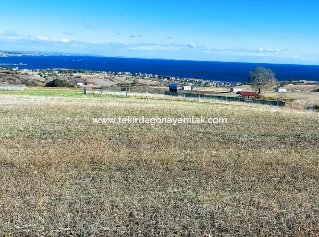 Bewerben Sie Sich Für Ein Luxusvillen-Projekt Zum Dringenden Verkauf, Bieten Sie Eine Hohe Lage In Kaznç, Einen Herrlichen, Vollständig Vollen Blick Auf Das Meer Und Die Natur