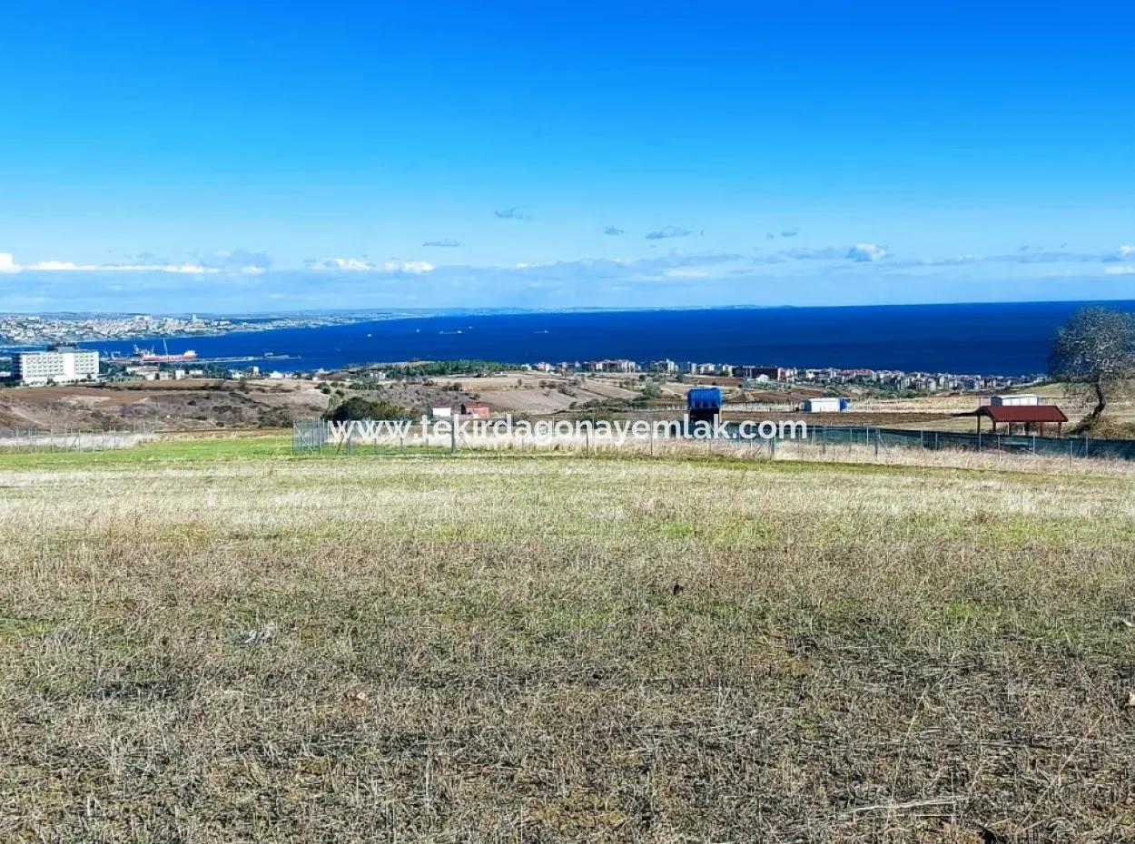 Bewerben Sie Sich Für Ein Luxusvillen-Projekt Zum Dringenden Verkauf, Bieten Sie Eine Hohe Lage In Kaznç, Einen Herrlichen, Vollständig Vollen Blick Auf Das Meer Und Die Natur