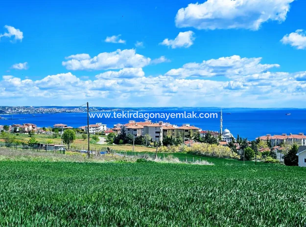 Herrlicher Blick Auf Das Meer Und Die Natur Oder Genossenschaft. Egal, Ob Sie Eine Luxusvilla Bauen Möchten. 40 Wohnungen 6.400 Wohngrundstücke