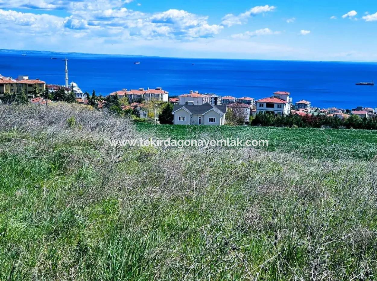 Herrlicher Blick Auf Das Meer Und Die Natur Oder Genossenschaft. Egal, Ob Sie Eine Luxusvilla Bauen Möchten. 40 Wohnungen 6.400 Wohngrundstücke