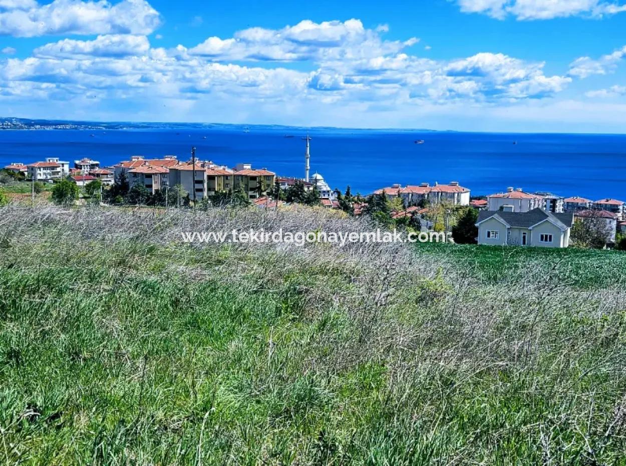 Herrlicher Blick Auf Das Meer Und Die Natur Oder Genossenschaft. Egal, Ob Sie Eine Luxusvilla Bauen Möchten. 40 Wohnungen 6.400 Wohngrundstücke