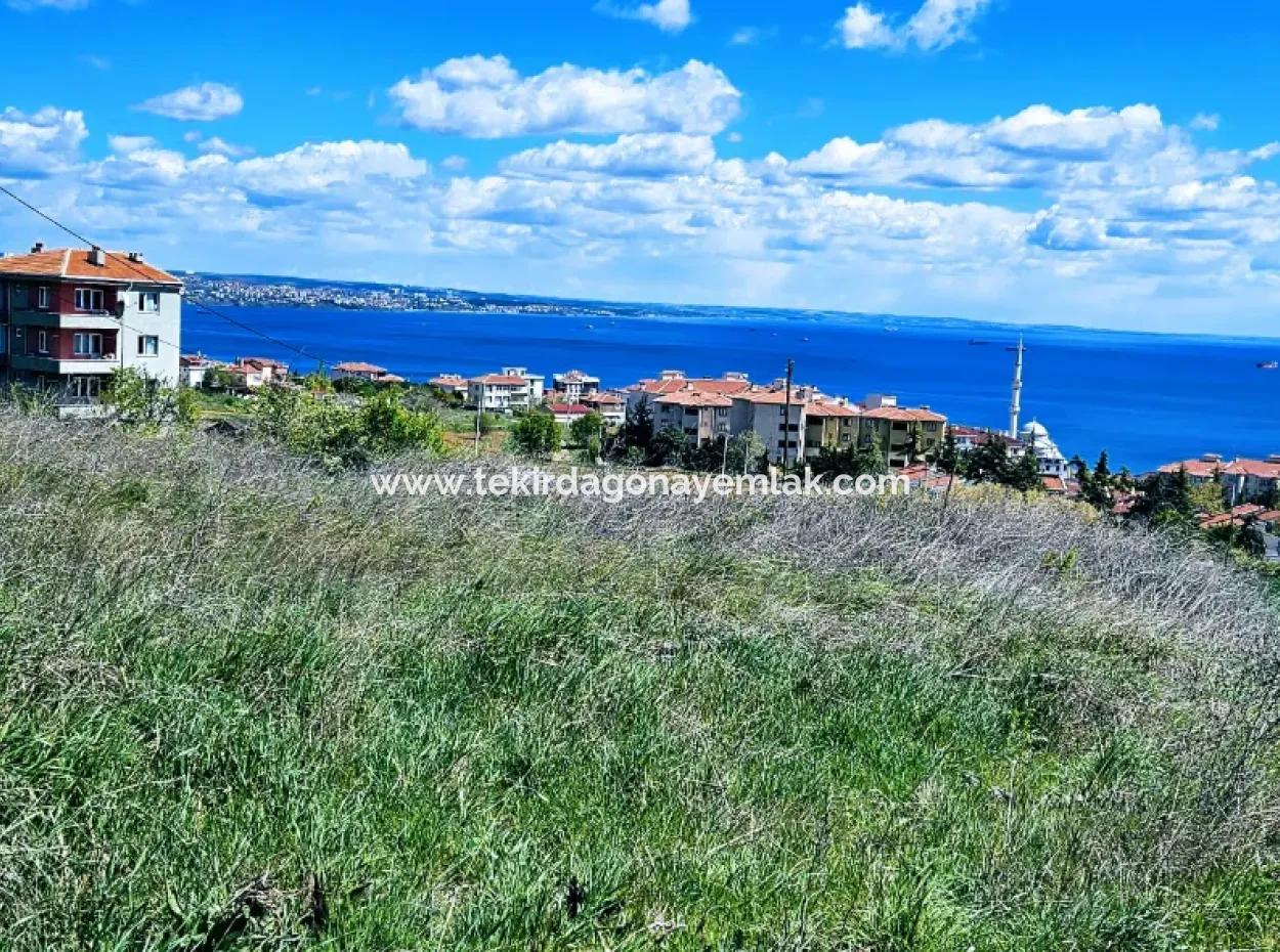 Herrlicher Blick Auf Das Meer Und Die Natur Oder Genossenschaft. Egal, Ob Sie Eine Luxusvilla Bauen Möchten. 40 Wohnungen 6.400 Wohngrundstücke