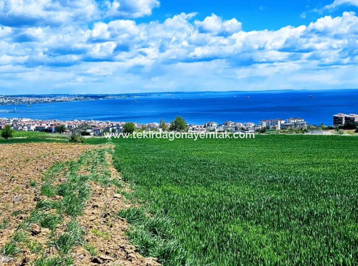 Herrlicher Blick Auf Das Meer Und Die Natur Oder Genossenschaft. Egal, Ob Sie Eine Luxusvilla Bauen Möchten. 40 Wohnungen 6.400 Wohngrundstücke