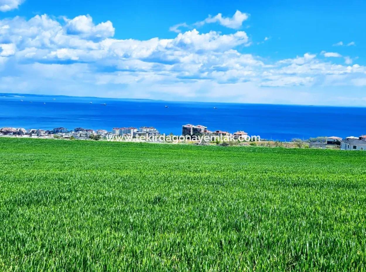 Herrlicher Blick Auf Das Meer Und Die Natur Oder Genossenschaft. Egal, Ob Sie Eine Luxusvilla Bauen Möchten. 40 Wohnungen 6.400 Wohngrundstücke