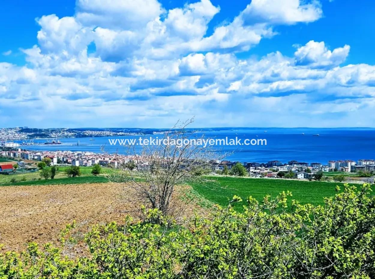 Herrlicher Blick Auf Das Meer Und Die Natur Oder Genossenschaft. Egal, Ob Sie Eine Luxusvilla Bauen Möchten. 40 Wohnungen 6.400 Wohngrundstücke