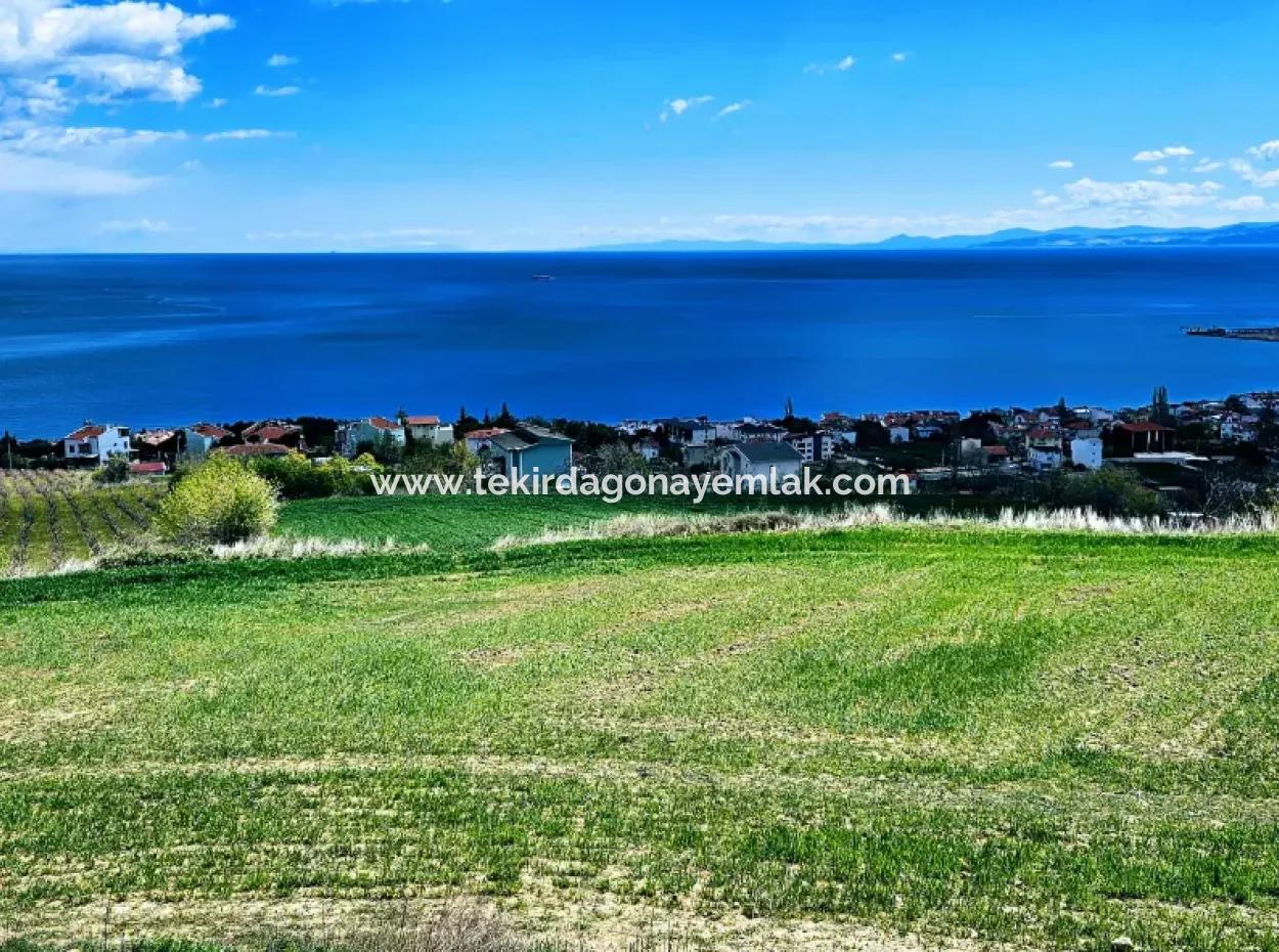 Wohngrundstück Mit Vollem Meerblick, Geeignet Für Den Bau Eines Genossenschaftsstandorts Mit 42 Wohnungen Zum Dringenden Verkauf In Tekirdag Barbarosta
