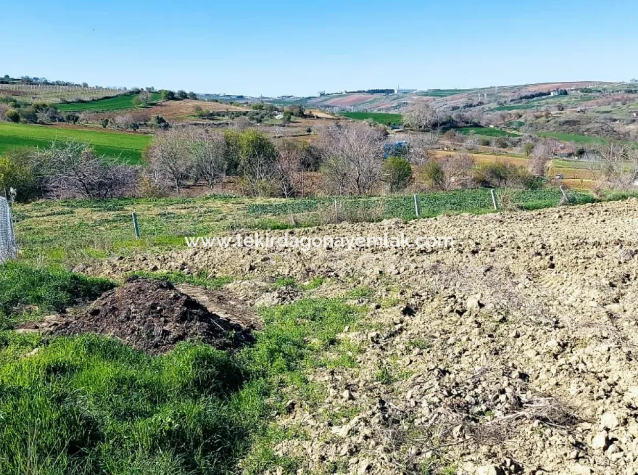 Investitionsmöglichkeit: 615 M2 Eckgrundstück Zum Verkauf In Tekirdag Barbaros - Dringender Verkauf, Meer- Und Naturblick, 0 Zonenbu Harika Konumda Ve 615 M2 Genişliğindeki Acil Satılık Köşe Arsa, Yatırımcılar Için Muazz