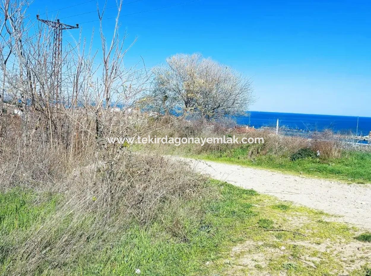 Investitionsmöglichkeit: 615 M2 Eckgrundstück Zum Verkauf In Tekirdag Barbaros - Dringender Verkauf, Meer- Und Naturblick, 0 Zonenbu Harika Konumda Ve 615 M2 Genişliğindeki Acil Satılık Köşe Arsa, Yatırımcılar Için Muazz