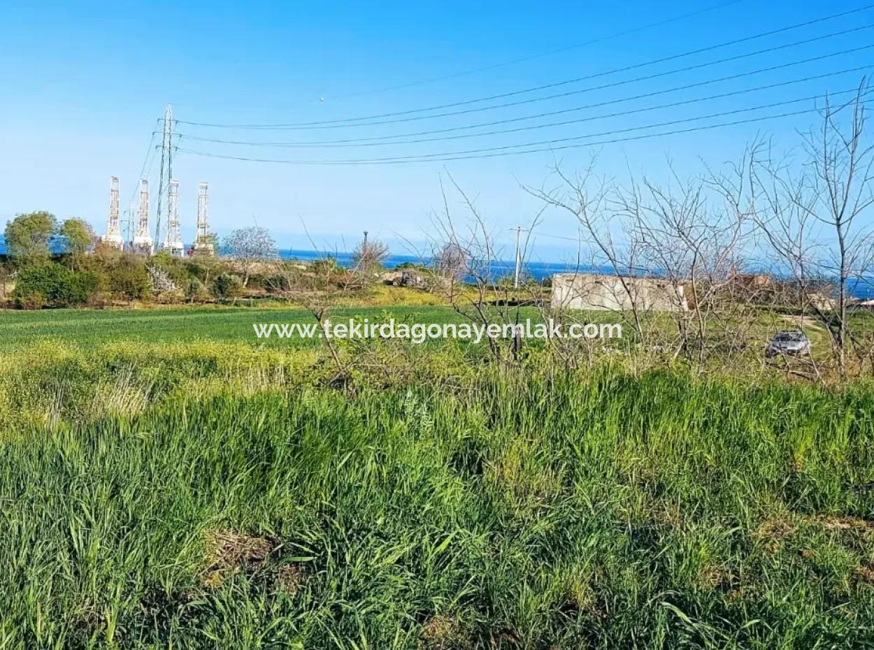 Investitionsmöglichkeit: 615 M2 Eckgrundstück Zum Verkauf In Tekirdag Barbaros - Dringender Verkauf, Meer- Und Naturblick, 0 Zonenbu Harika Konumda Ve 615 M2 Genişliğindeki Acil Satılık Köşe Arsa, Yatırımcılar Için Muazz