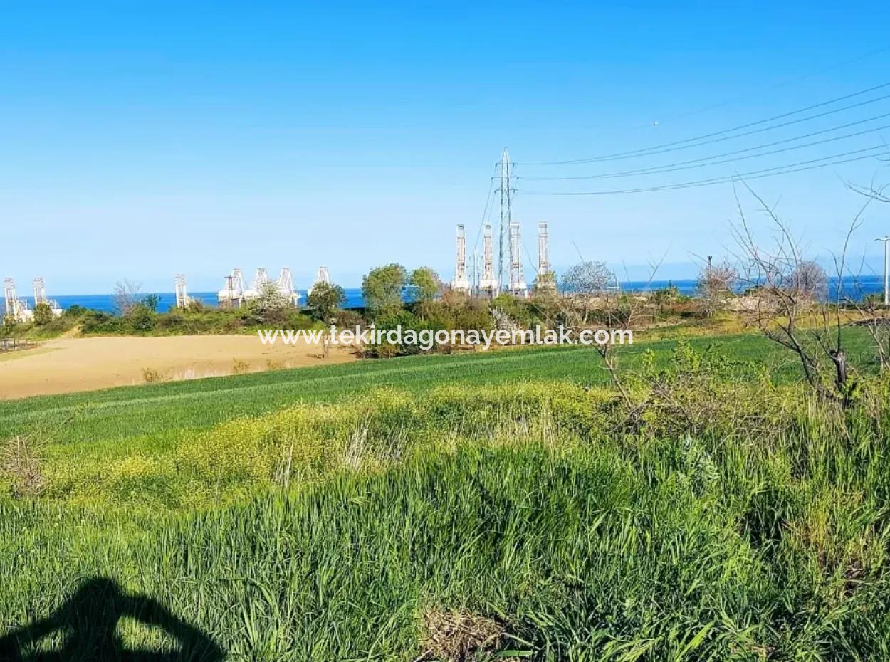 Investitionsmöglichkeit: 615 M2 Eckgrundstück Zum Verkauf In Tekirdag Barbaros - Dringender Verkauf, Meer- Und Naturblick, 0 Zonenbu Harika Konumda Ve 615 M2 Genişliğindeki Acil Satılık Köşe Arsa, Yatırımcılar Için Muazz