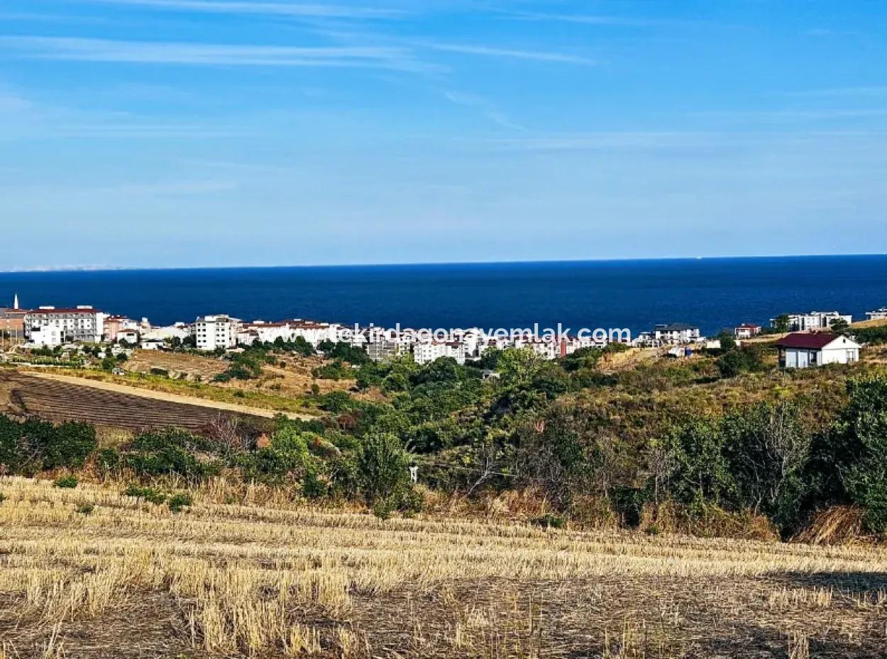 1.150 M² Großes Grundstück In Der Nähe Des Ramada Hotels In Tekirdag Suleymanpasa Barbaros - Topagac