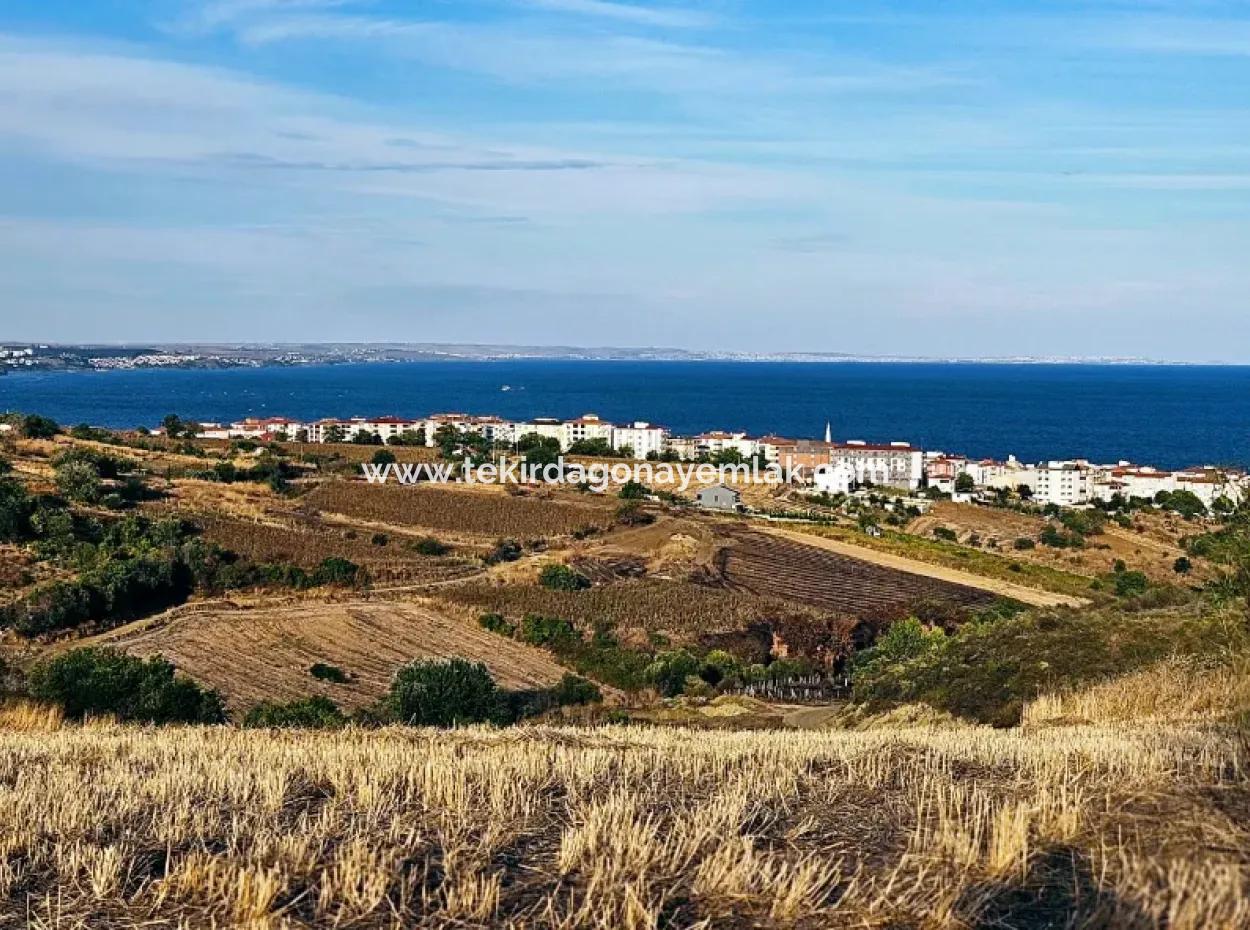 1.150 M² Großes Grundstück In Der Nähe Des Ramada Hotels In Tekirdag Suleymanpasa Barbaros - Topagac