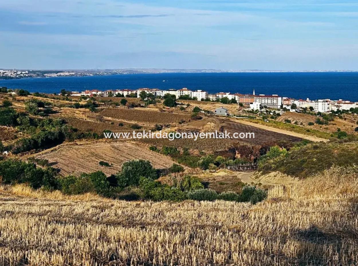 1.150 M² Großes Grundstück In Der Nähe Des Ramada Hotels In Tekirdag Suleymanpasa Barbaros - Topagac