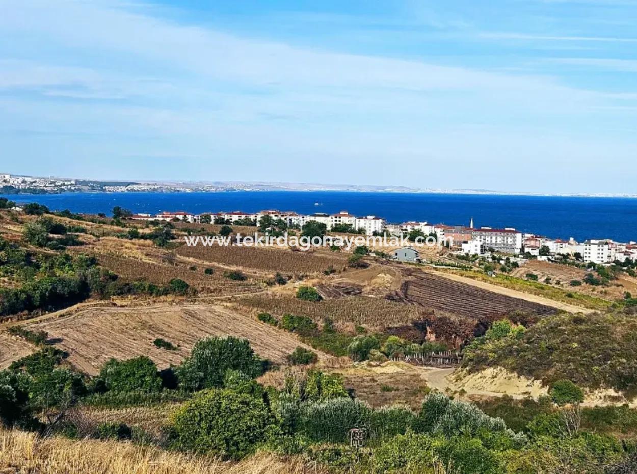 1.150 M² Großes Grundstück In Der Nähe Des Ramada Hotels In Tekirdag Suleymanpasa Barbaros - Topagac