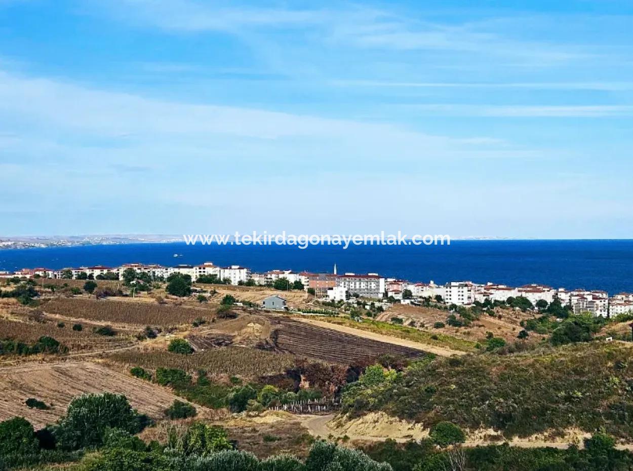 1.150 M² Großes Grundstück In Der Nähe Des Ramada Hotels In Tekirdag Suleymanpasa Barbaros - Topagac