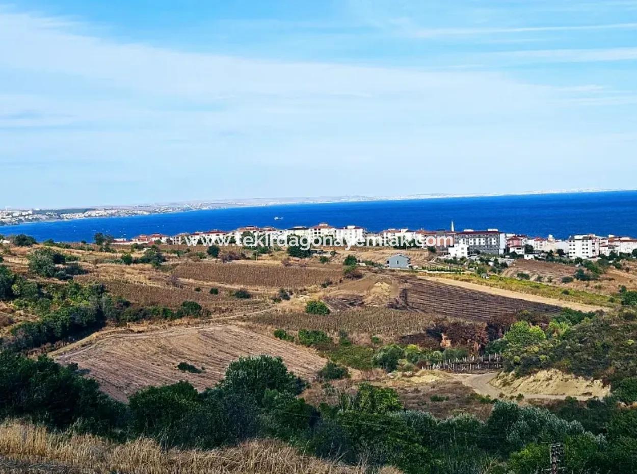 1.150 M² Großes Grundstück In Der Nähe Des Ramada Hotels In Tekirdag Suleymanpasa Barbaros - Topagac