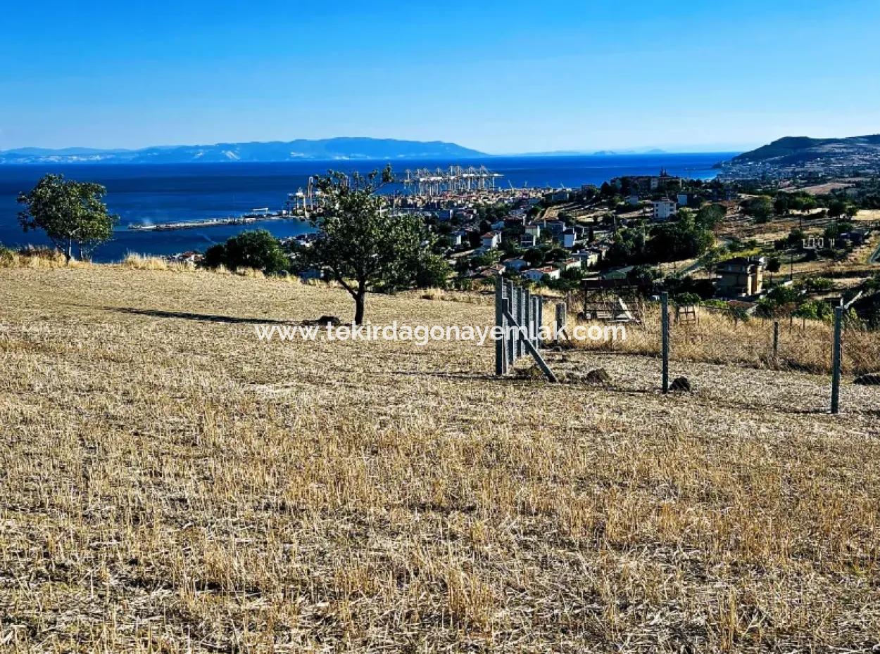 Full Sea View Swap Cash 765 M2 Opportunity Coupon Grundstück Zum Dringenden Verkauf