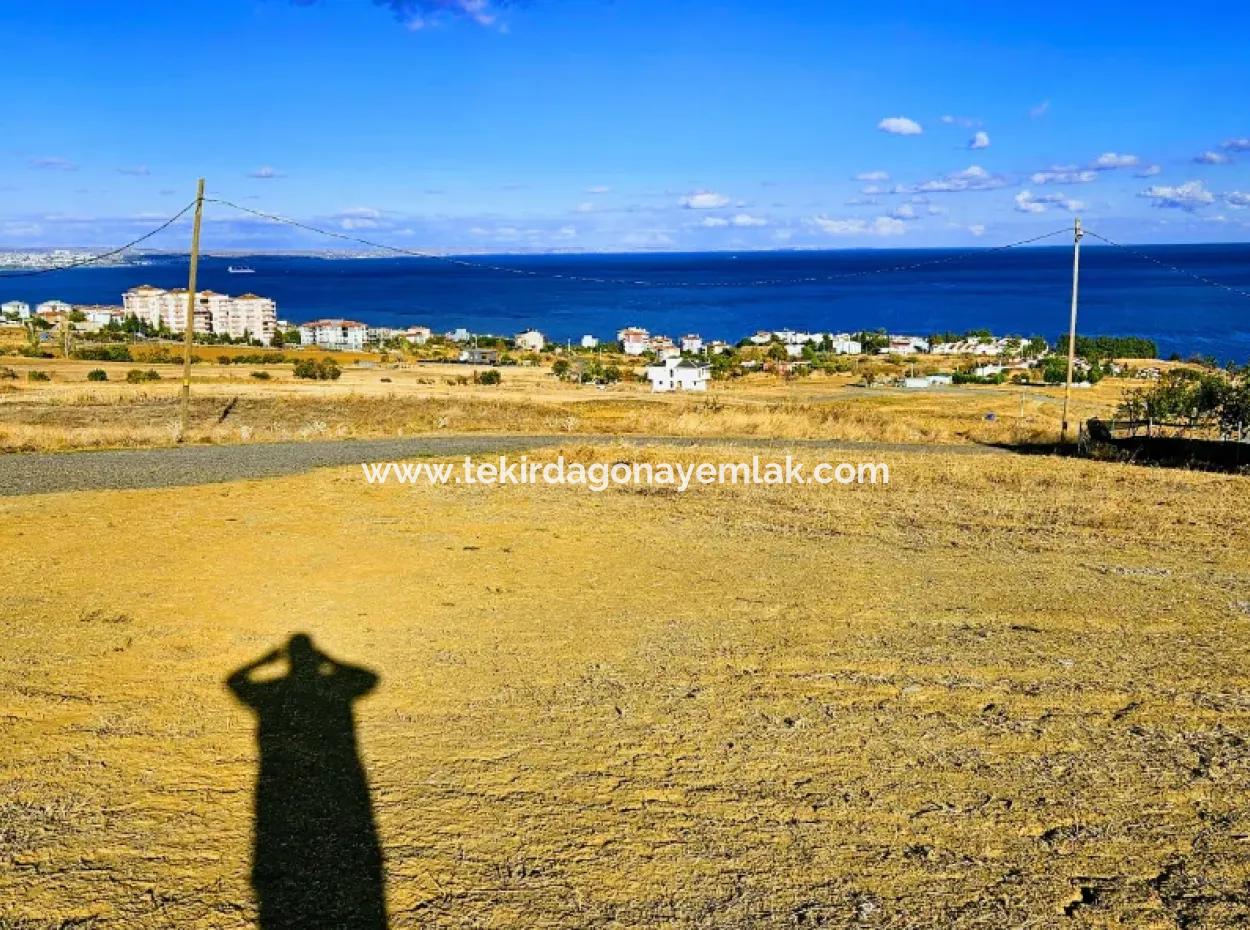 6 Wohnungen Gelegenheitsgrundstück Mit Herrlichem Meerblick Zum Dringenden Verkauf