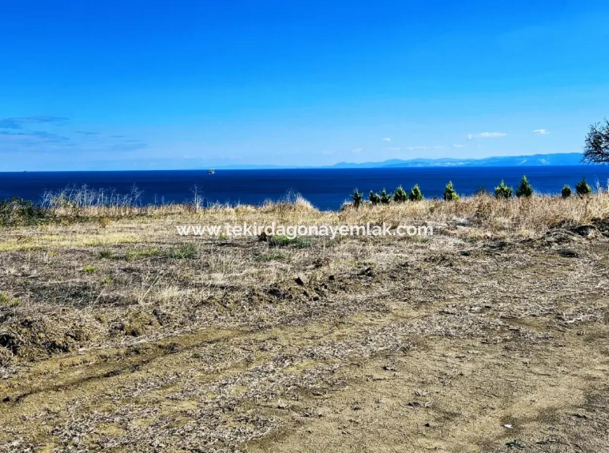 Gelegenheit Grundstück Geeignet Für Den Bau Eines Einfamilienhauses In Herrlicher Lage In Tekirdag Barbarosta, In Der Nähe Des Meeres