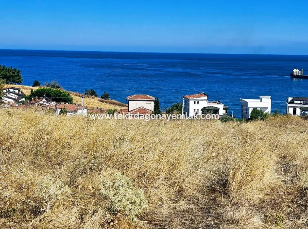 Gelegenheit Grundstück Geeignet Für Den Bau Eines Einfamilienhauses In Herrlicher Lage In Tekirdag Barbarosta, In Der Nähe Des Meeres