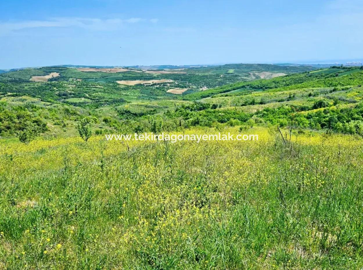 Eine Grossartige Gelegenheit, Ihren Bauernhof In Ihrer Familie Für Den Dringenden Verkauf Aufzubauen 2.600 Hektar Weidefront