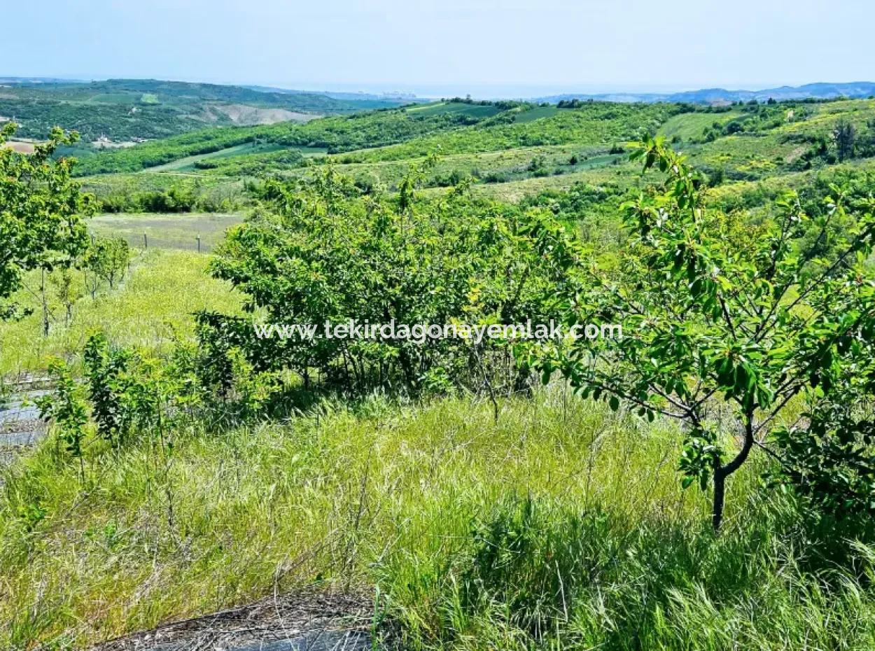 Eine Grossartige Gelegenheit, Ihren Bauernhof In Ihrer Familie Für Den Dringenden Verkauf Aufzubauen 2.600 Hektar Weidefront
