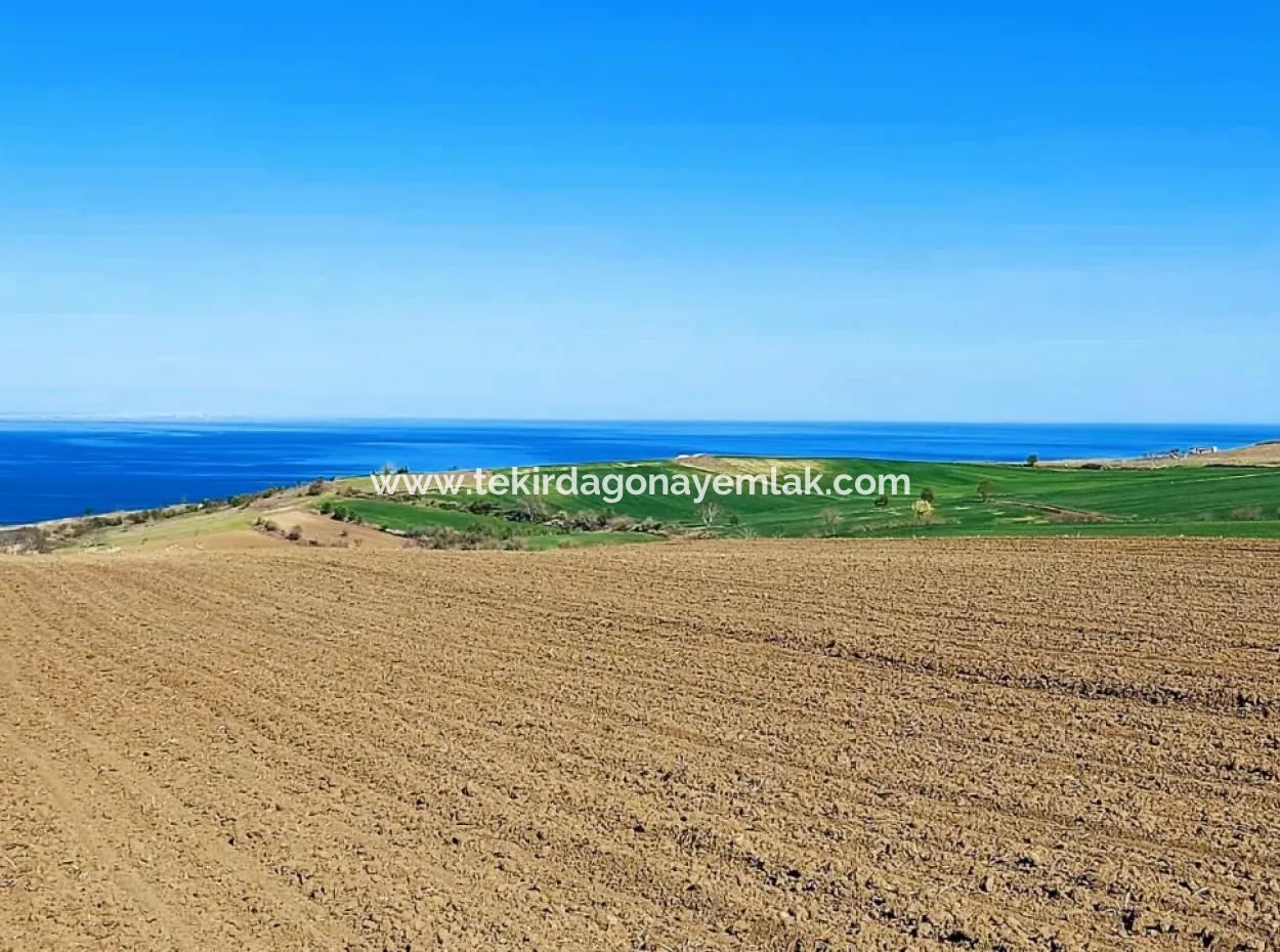 Tekirdag Barbarosta Luxusvilla Projekt Yap. Geben Sie Den Bauunternehmern Eine Wohnung Und Bauen Sie Eine Gewinnbringende Villa Mit Vollem Meerblick