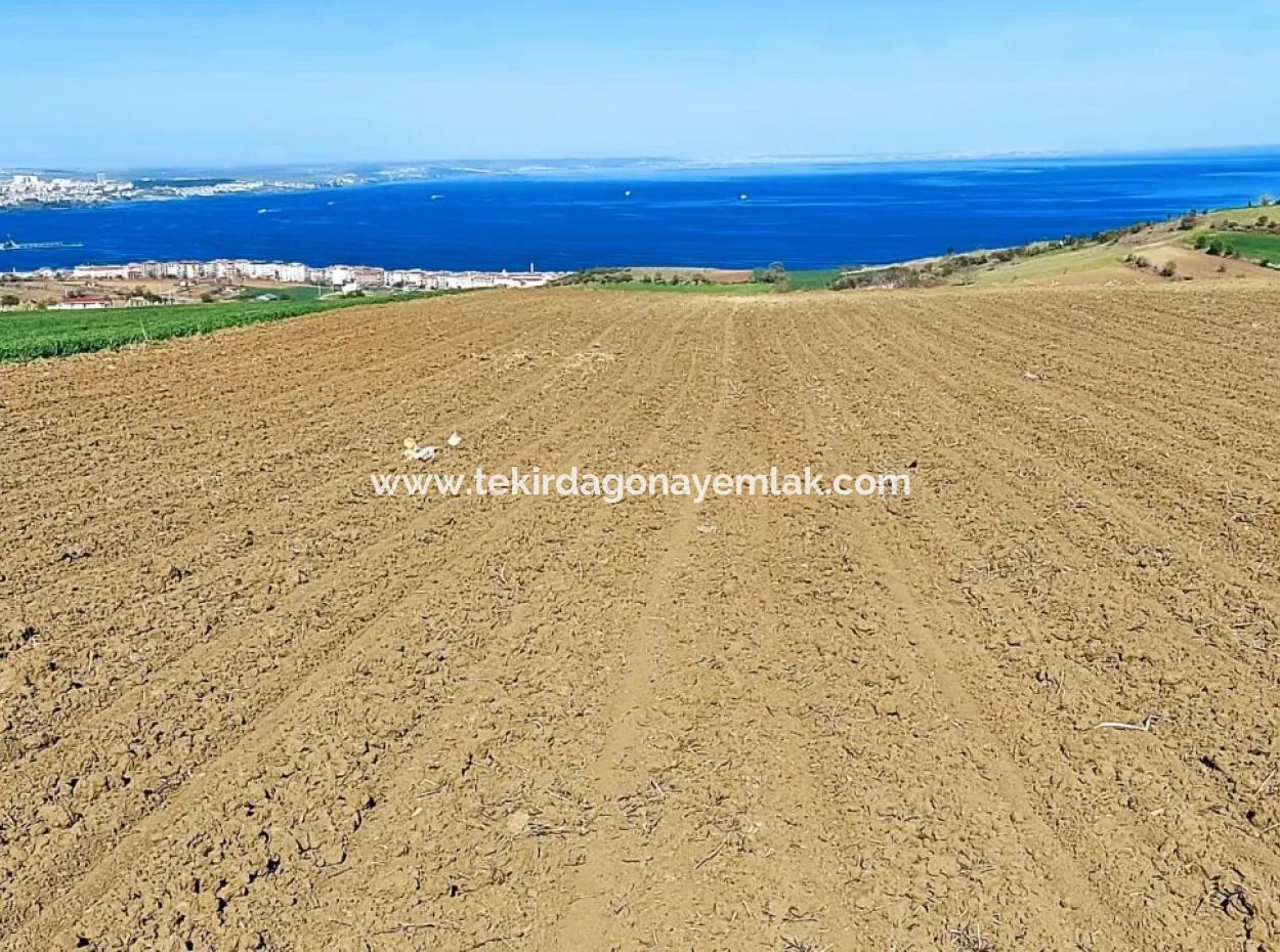 Tekirdag Barbarosta Luxusvilla Projekt Yap. Geben Sie Den Bauunternehmern Eine Wohnung Und Bauen Sie Eine Gewinnbringende Villa Mit Vollem Meerblick