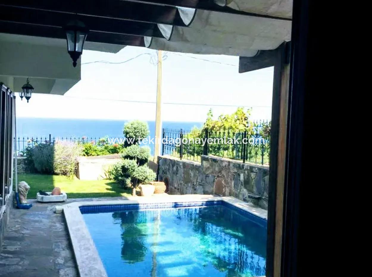 Luxuriöse Ultra-Villa Mit Tauschpool Und Tiefgarage