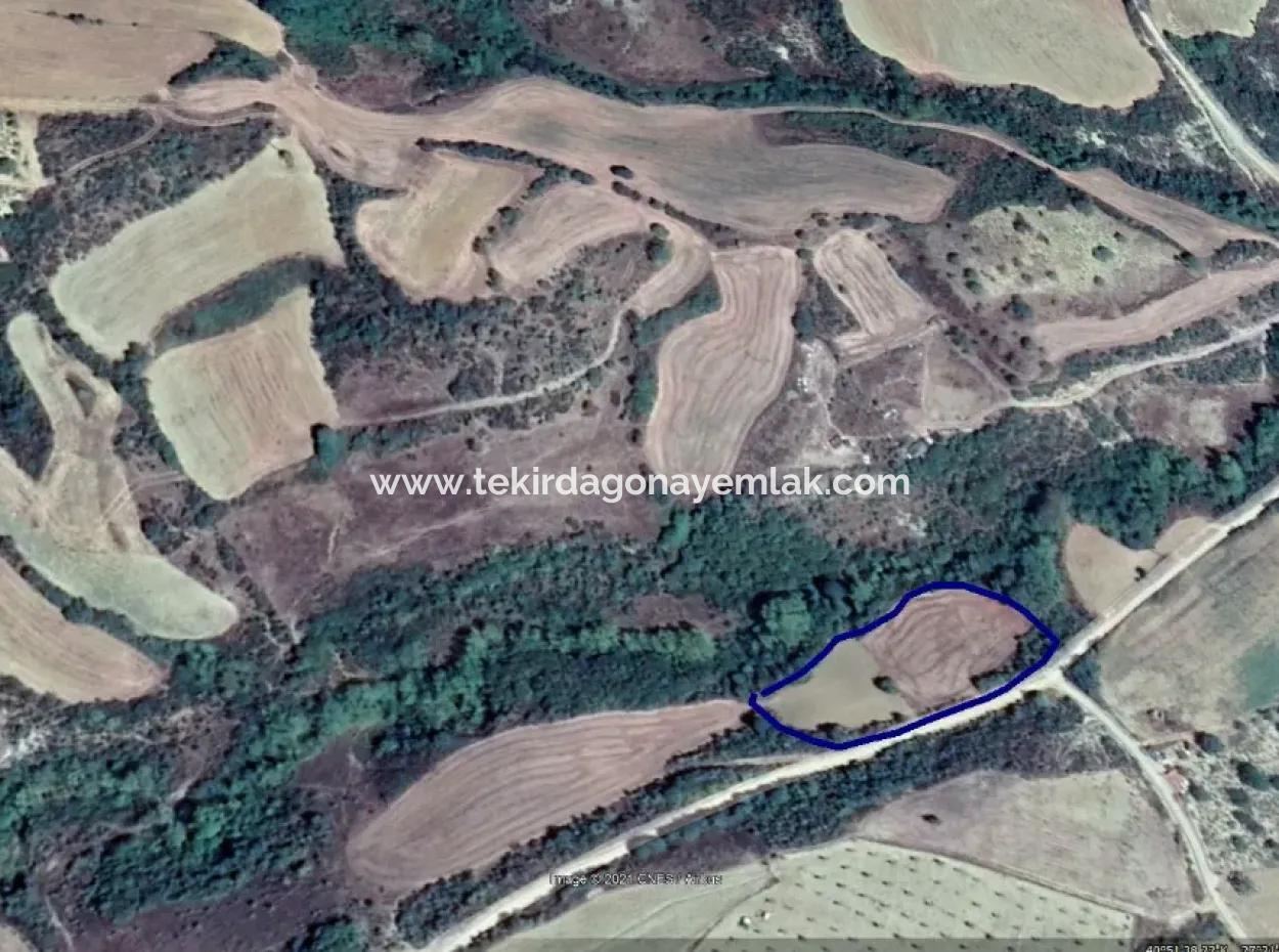 Dieses 5.500 Quadratmeter Große Feld Am Bach Liegt Im Bezirk Tekirdağ Süleymanpaşa Yeniköy