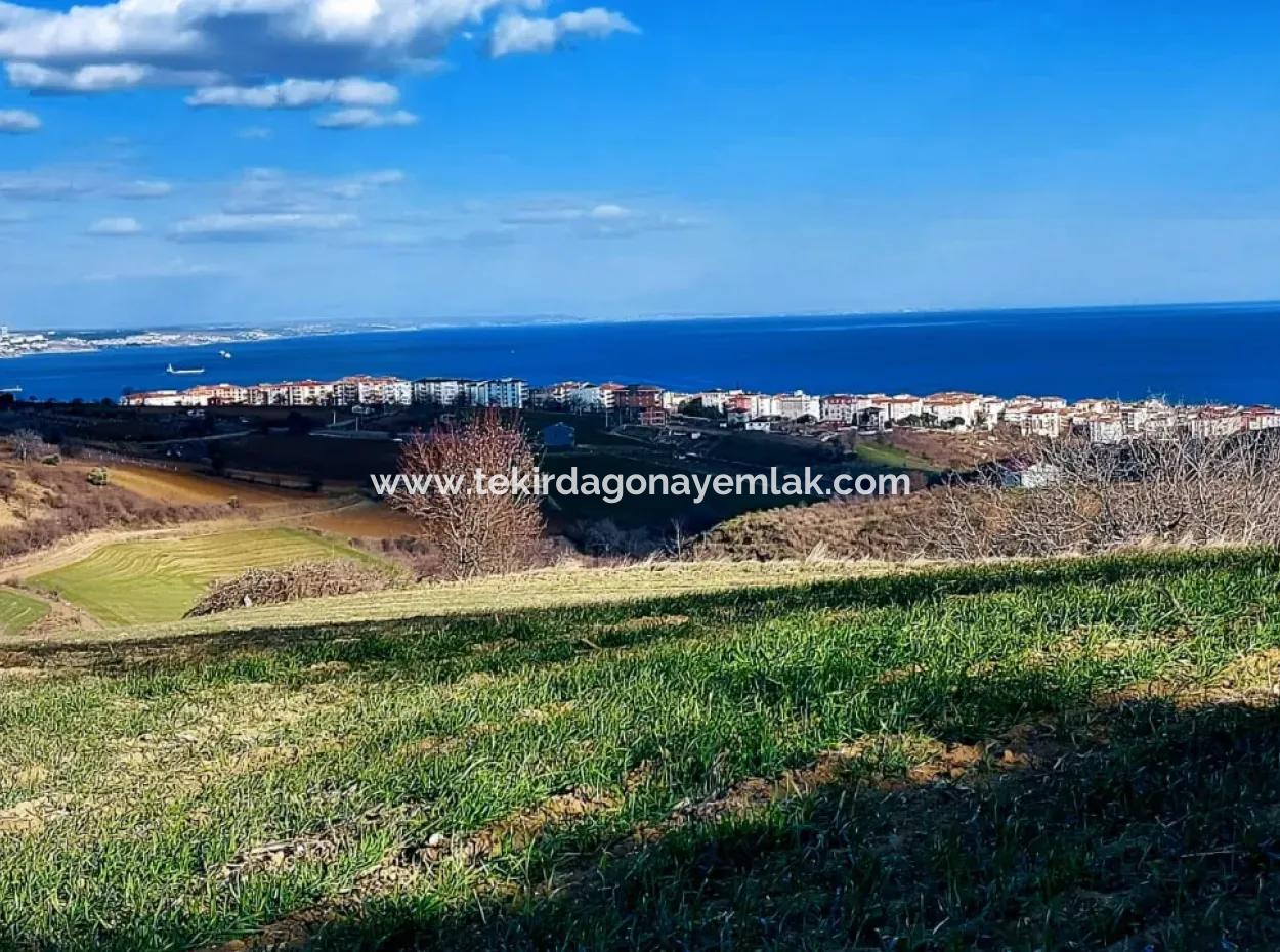 1.150 M² Großes Grundstück In Der Nähe Des Ramada Hotels In Tekirdag Suleymanpasa Barbaros - Topagac