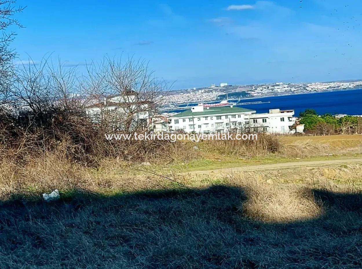 55 Wohnungen Mit Gelegenheitsgutschein Grundstück Mit 9 Etagen Zonierung Im Viertel Tekirdag Topağaç