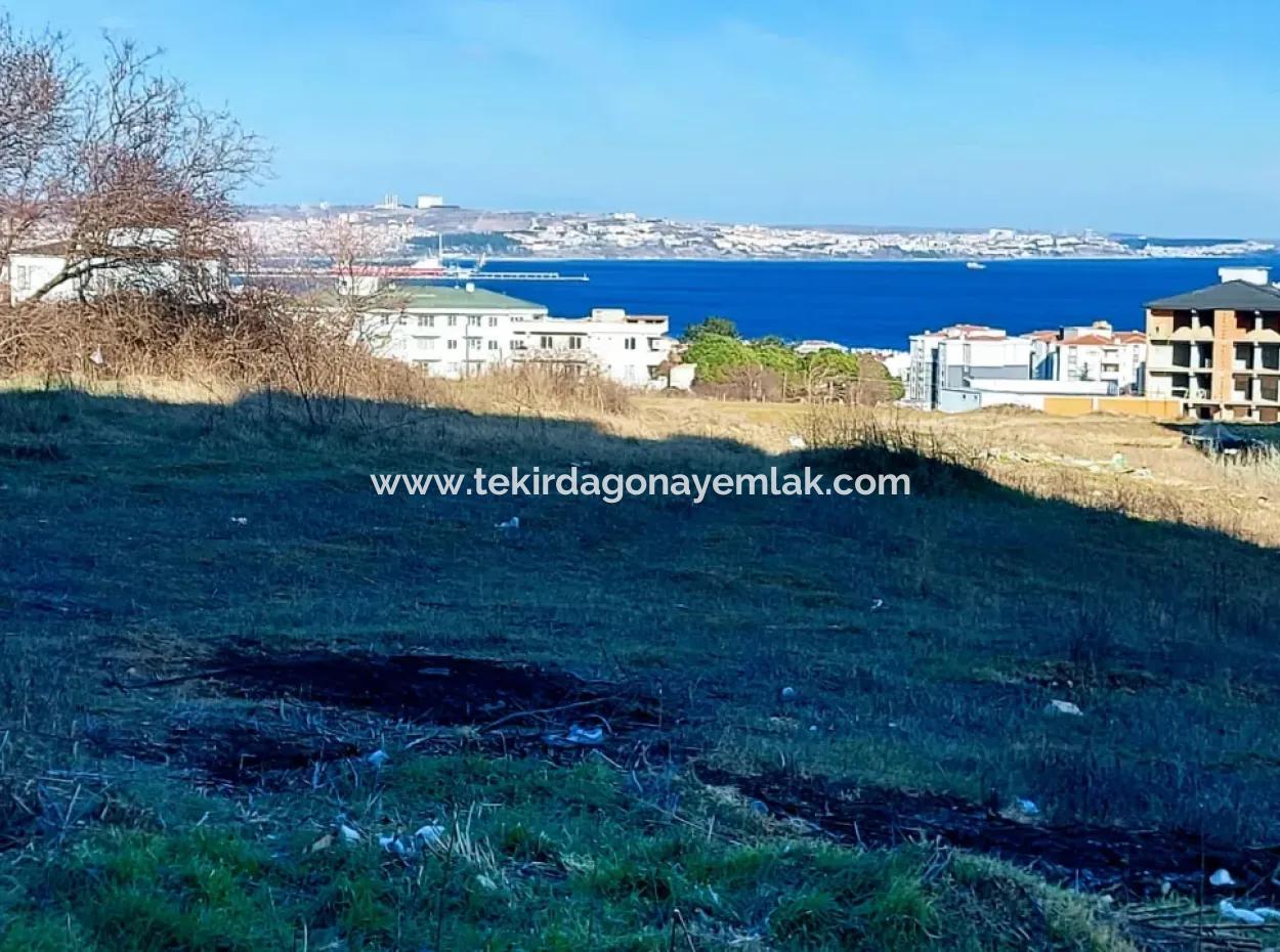 55 Wohnungen Mit Gelegenheitsgutschein Grundstück Mit 9 Etagen Zonierung Im Viertel Tekirdag Topağaç