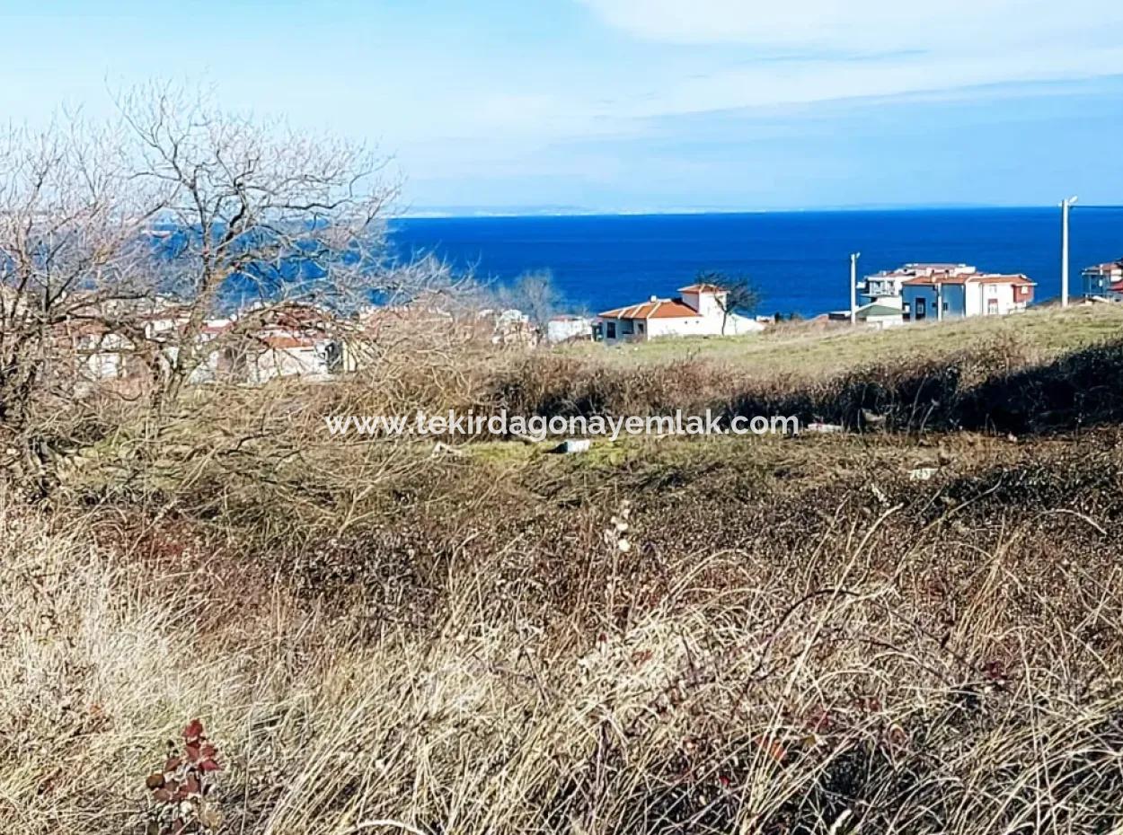 4-Stöckiges Grundstück Mit 30 Wohnungen Im Viertel Tekirdag Topağaç