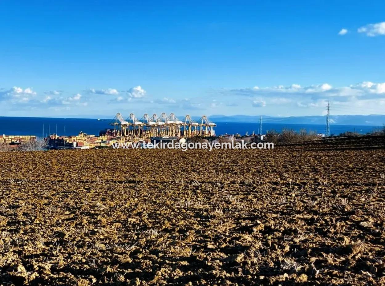 Einzigartiges 17.800 M2 Großes Wohngebiet In Der Gegend Von Süleymanpaşa Barbaros In Tekirdağ