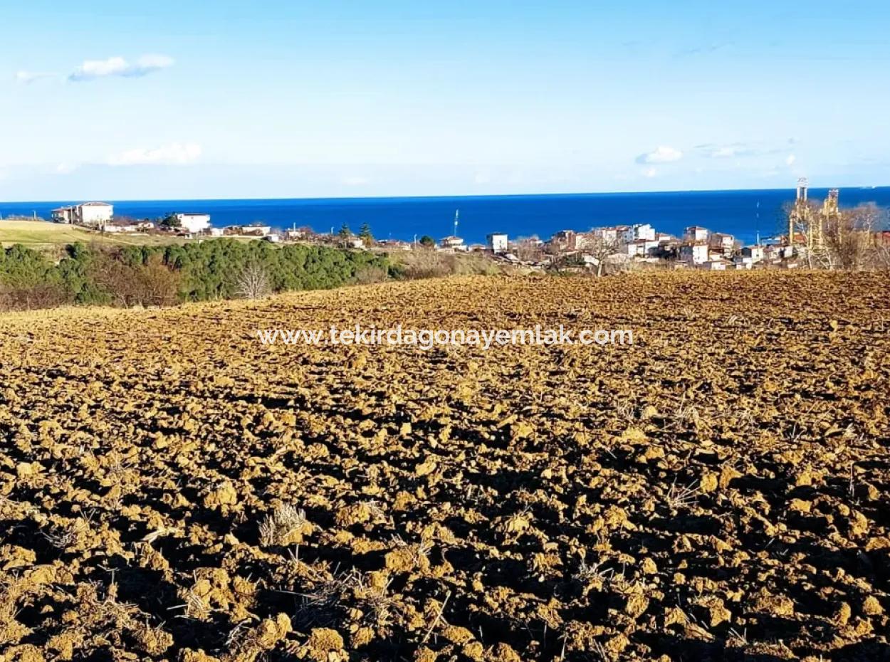 Einzigartiges 17.800 M2 Großes Wohngebiet In Der Gegend Von Süleymanpaşa Barbaros In Tekirdağ