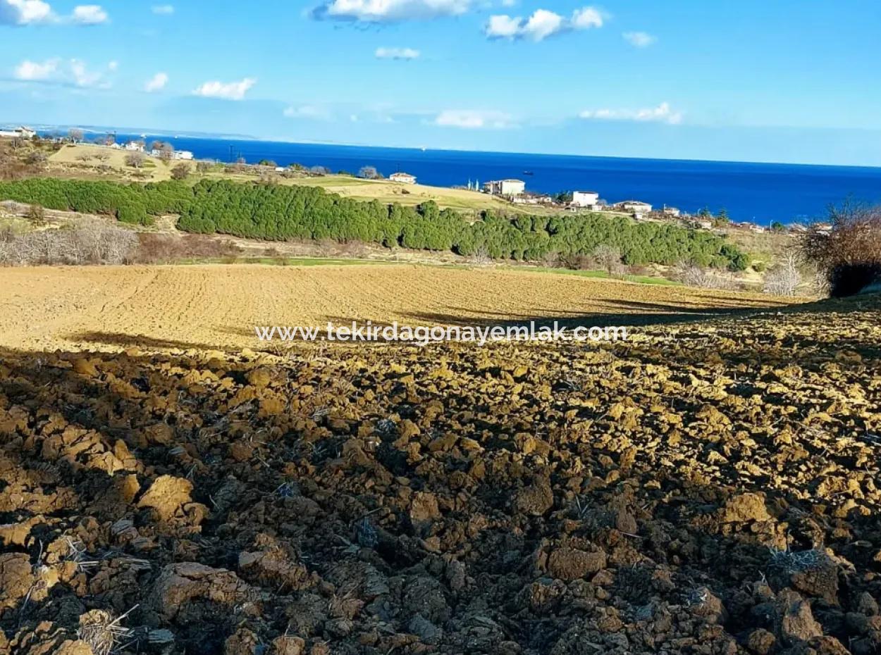 Einzigartiges 17.800 M2 Großes Wohngebiet In Der Gegend Von Süleymanpaşa Barbaros In Tekirdağ