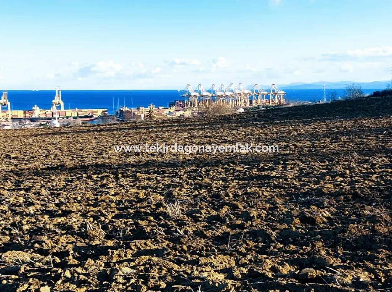 Einzigartiges 17.800 M2 Großes Wohngebiet In Der Gegend Von Süleymanpaşa Barbaros In Tekirdağ