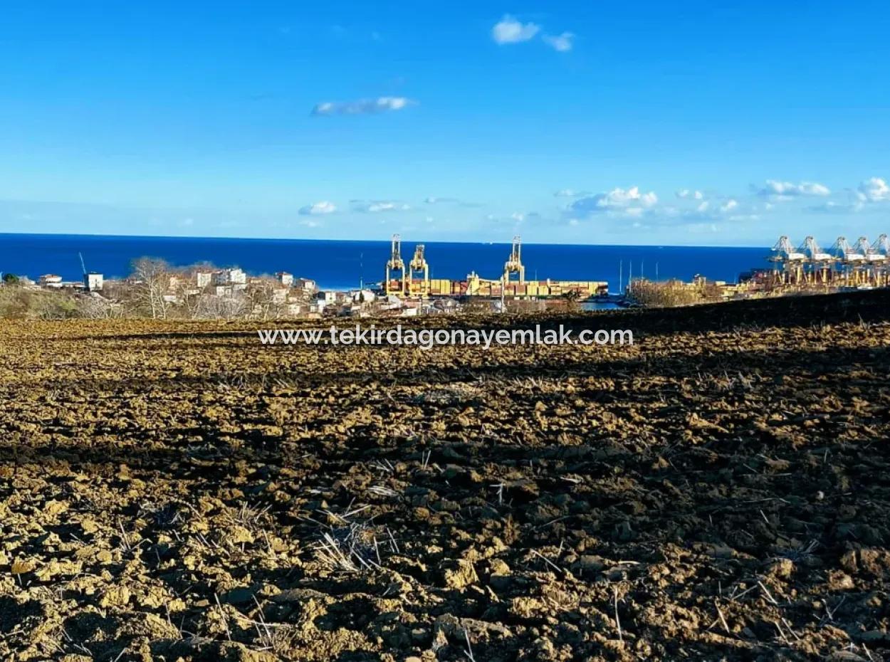 Einzigartiges 17.800 M2 Großes Wohngebiet In Der Gegend Von Süleymanpaşa Barbaros In Tekirdağ