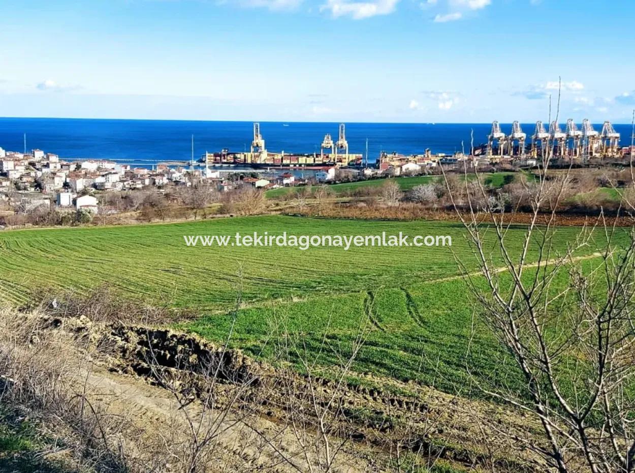 17 980 M2 Feld Zum Verkauf In Der Nähe Des Hafens Von Tekirdag Barbaros Asyaport