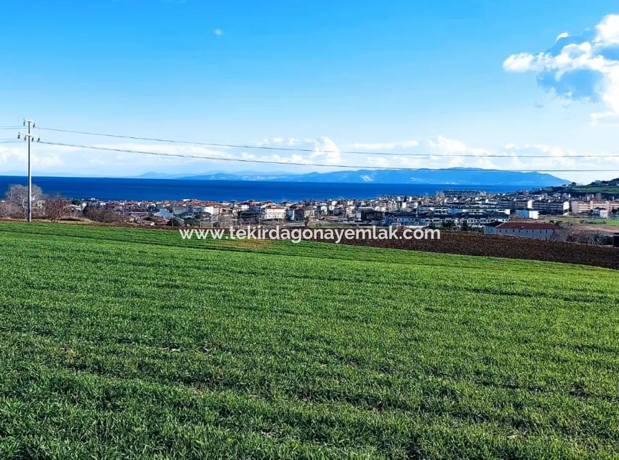 Dieses 11.100 M2 Große Wohngrundstück Befindet Sich In Süleymanpaşa Barbaros, Tekirdag, In Einer Großartigen Lage.