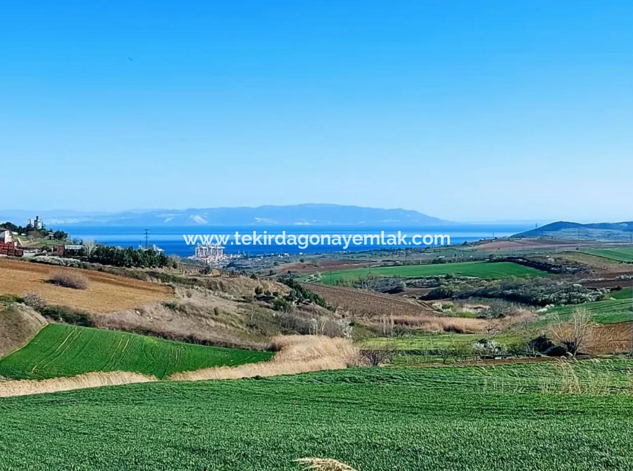Grundstück Zum Verkauf Auf 19.500 Quadratmetern Gewerbe- Und Industriegebiet Im Nusuratlı-Gebiet Von Tekirdağ