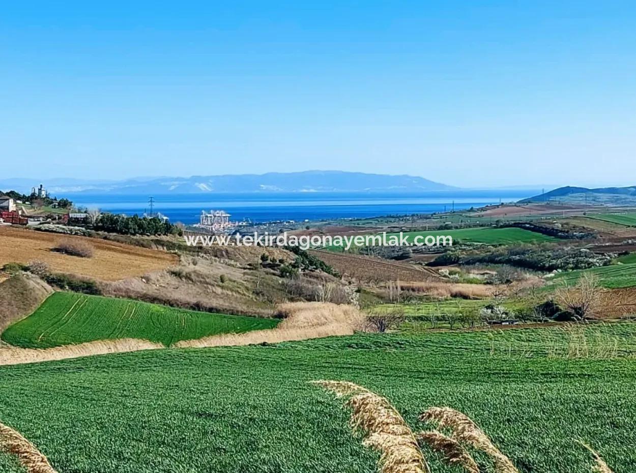 Grundstück Zum Verkauf Auf 19.500 Quadratmetern Gewerbe- Und Industriegebiet Im Nusuratlı-Gebiet Von Tekirdağ