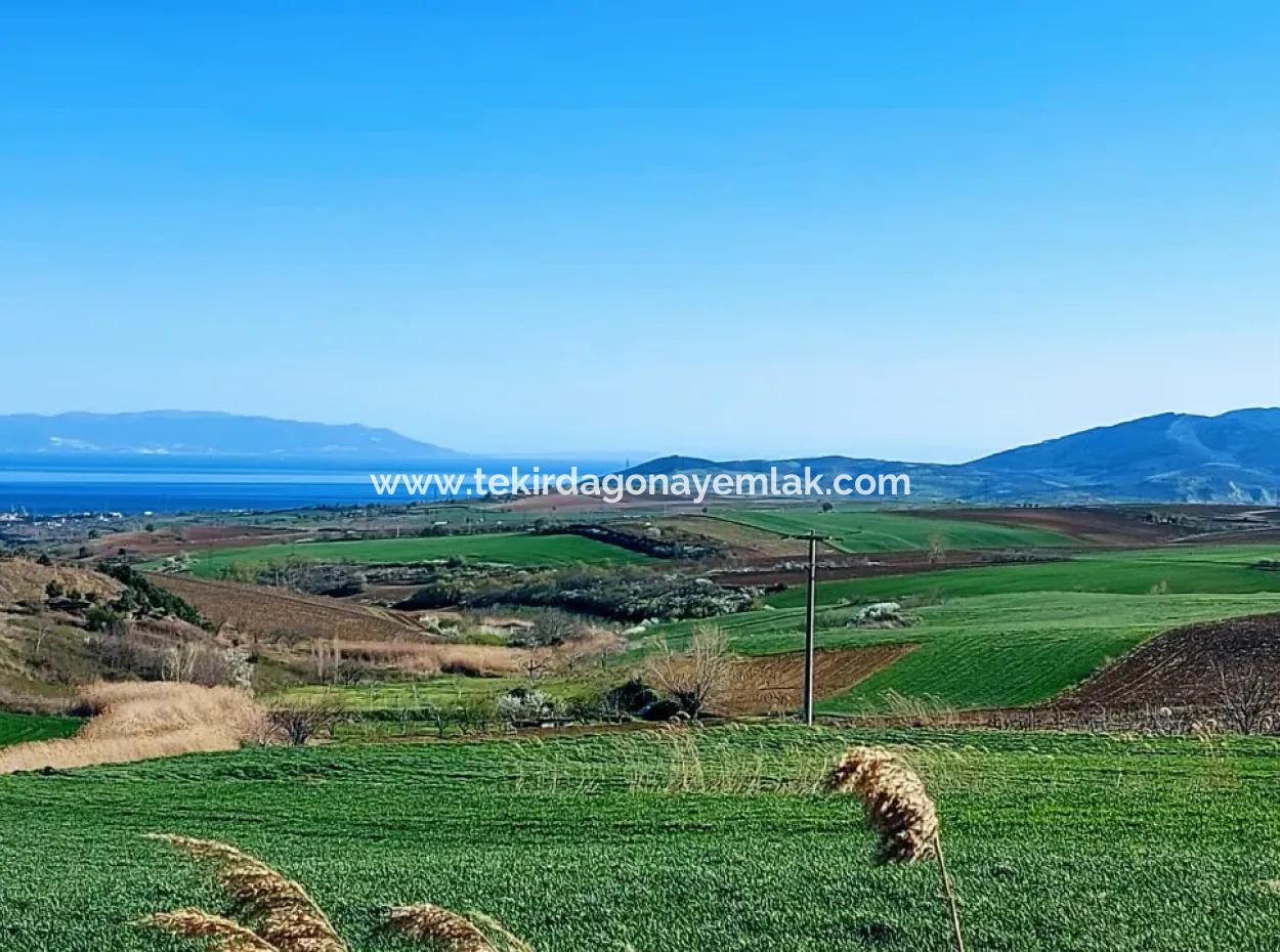 Grundstück Zum Verkauf Auf 19.500 Quadratmetern Gewerbe- Und Industriegebiet Im Nusuratlı-Gebiet Von Tekirdağ