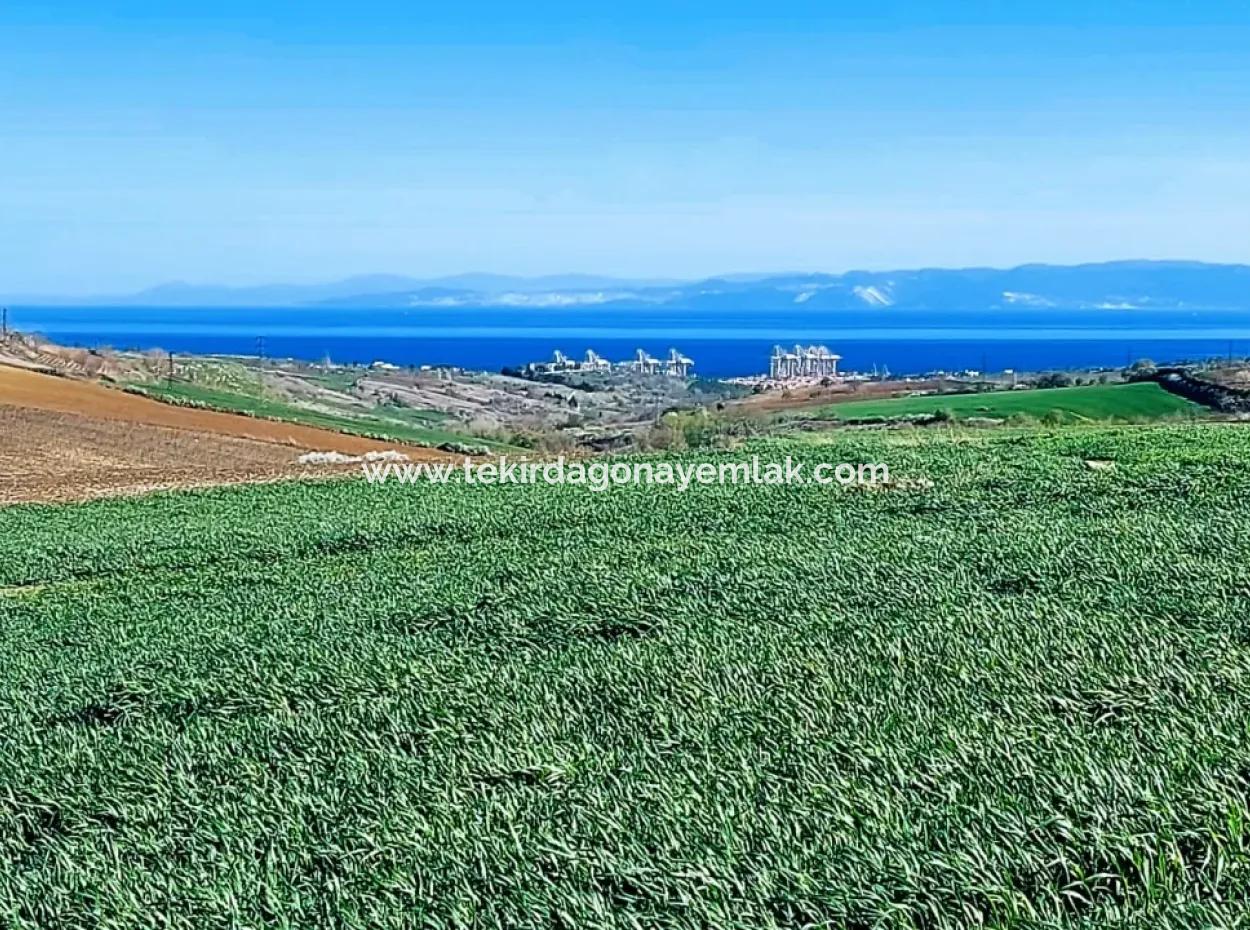 Grundstück Zum Verkauf Auf 19.500 Quadratmetern Gewerbe- Und Industriegebiet Im Nusuratlı-Gebiet Von Tekirdağ